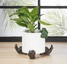 Load image into Gallery viewer, Climbing Frog Pot Hanger
