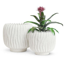 Load image into Gallery viewer, Sand Ridge Planter - 2 Sizes
