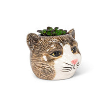 Load image into Gallery viewer, Small Cat Head Planter
