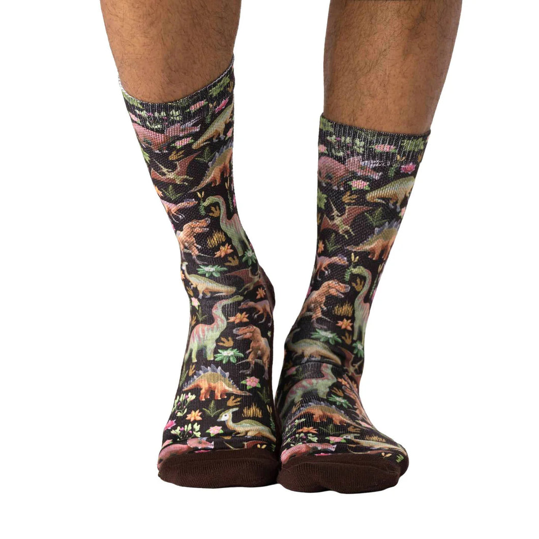Floral Dinosaurs Socks