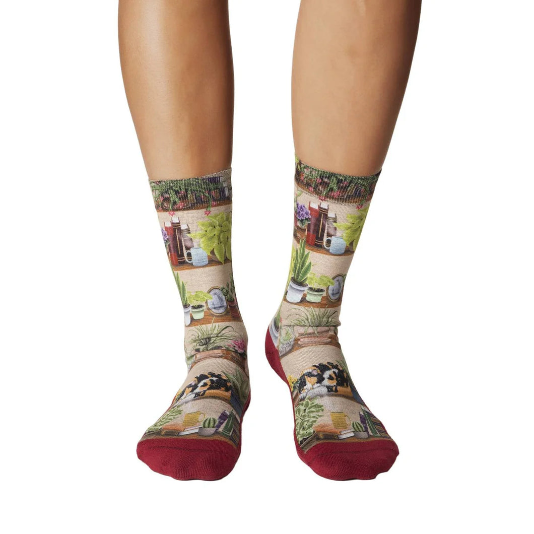 Bookshelf of Plants Socks