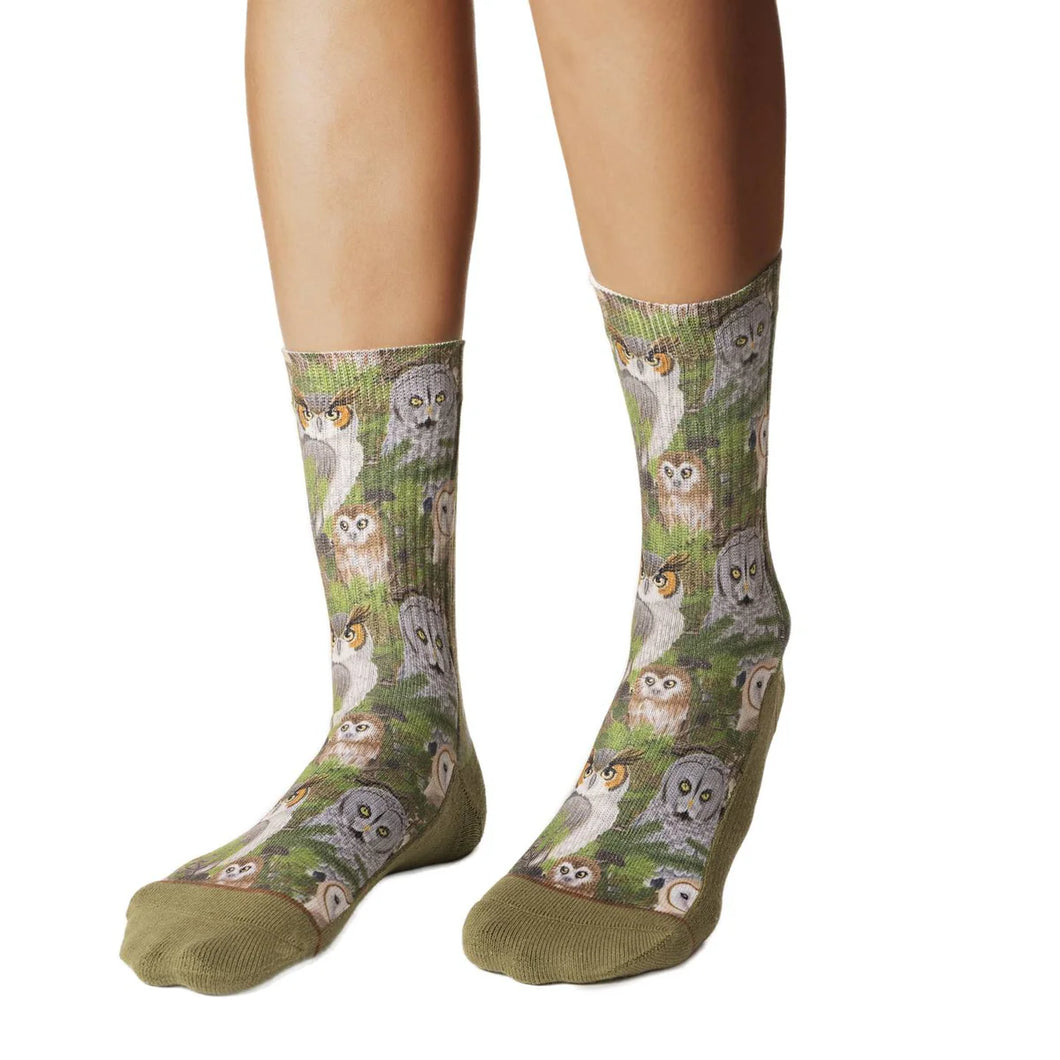 Staring Owls Socks