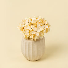 Load image into Gallery viewer, Hydrangea Bouquet
