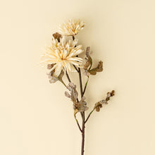 Load image into Gallery viewer, Dahlia Spray - Cream
