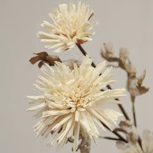 Load image into Gallery viewer, Dahlia Spray - Cream
