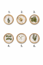 Load image into Gallery viewer, Dried Botanical Magnet - Assorted
