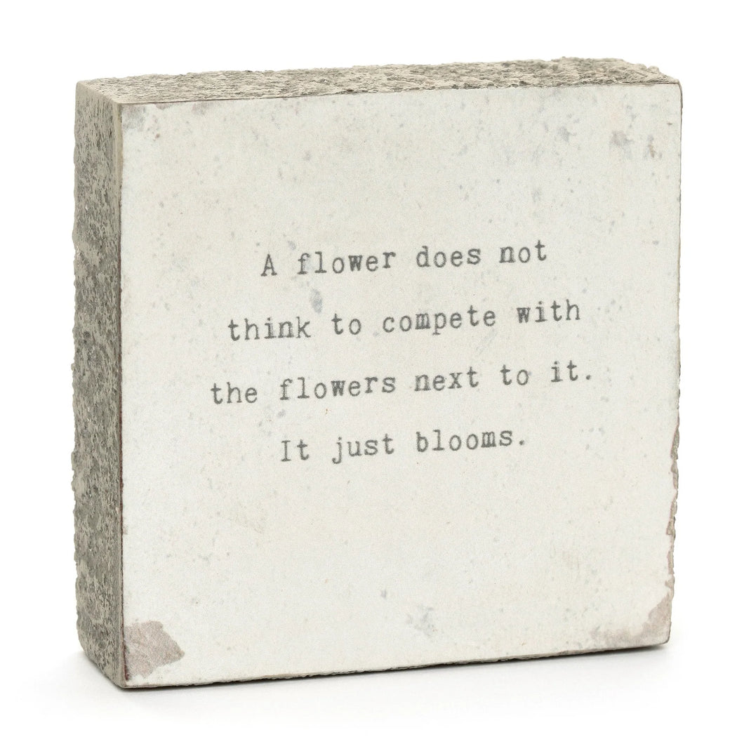 A Flower Does Not - Little Gem