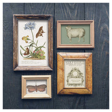 Load image into Gallery viewer, Brocante IOD Decor Image Transfer
