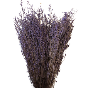 Caspia - Lavender