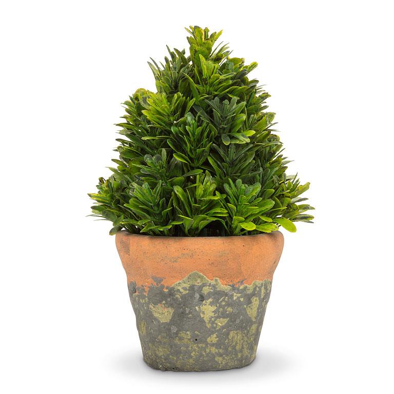 Cone Shaped Greenery In Natural Pot