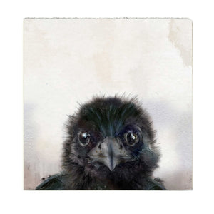 Crow Baby - Medium Art Block
