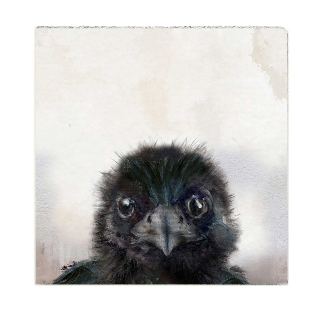 Crow Baby - Medium Art Block