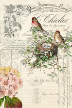 Load image into Gallery viewer, Decoupage Paper - Bird Ephemera
