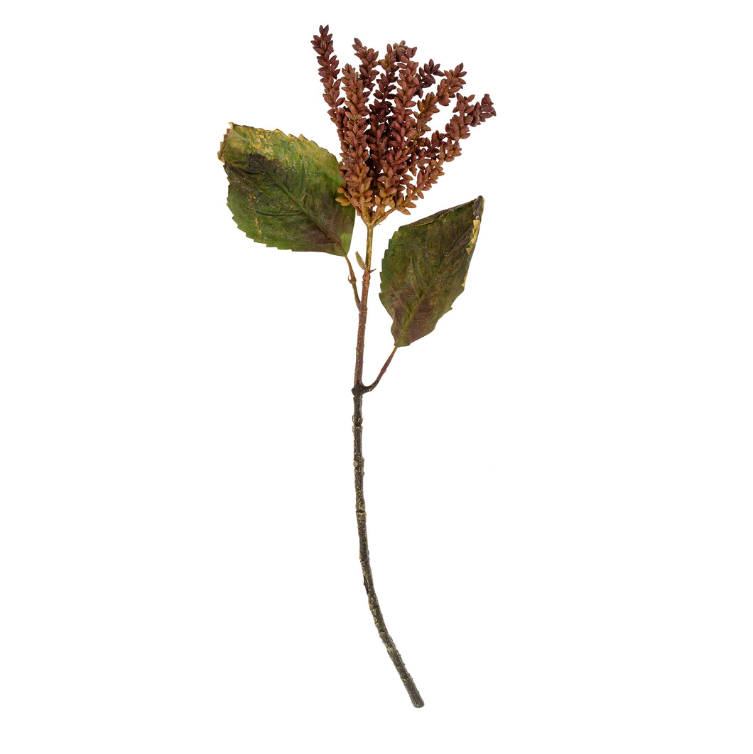 Dripping Seed Stem - Purple