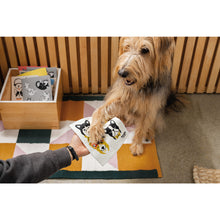 Load image into Gallery viewer, Swedish Dish Cloth - Meow &amp; Furever
