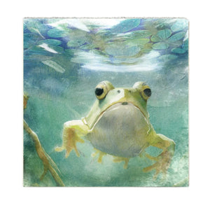 Frog - Art Block