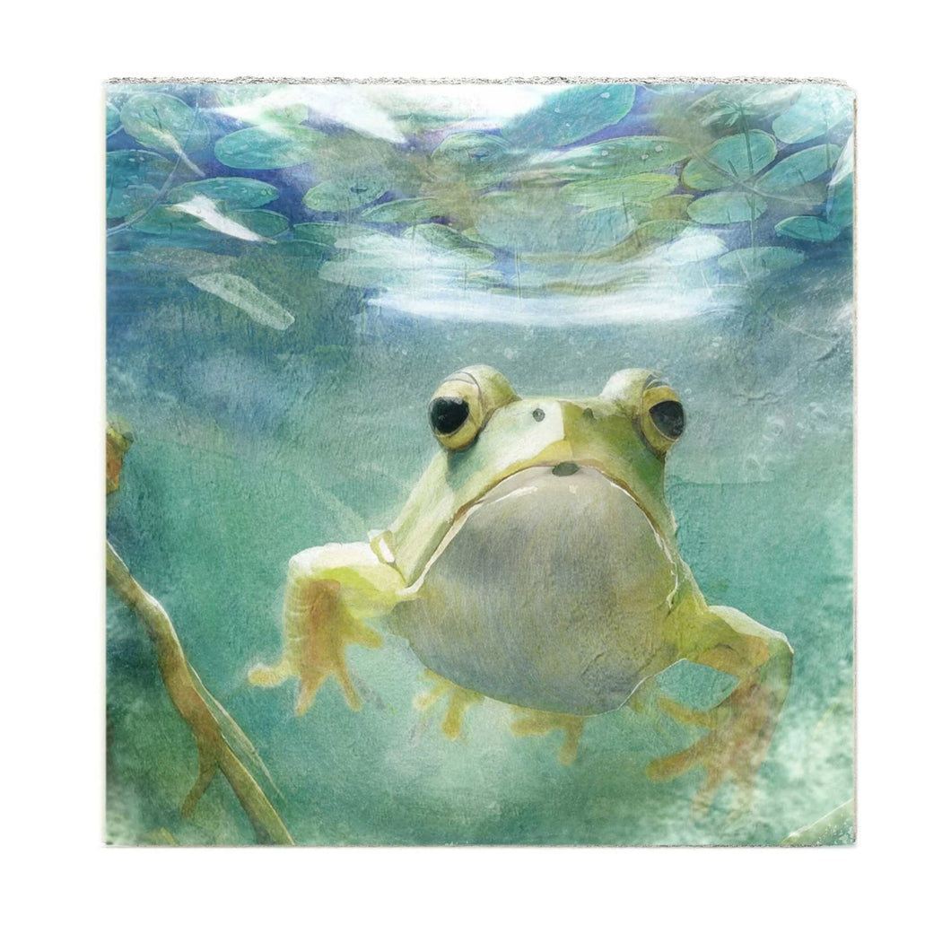 Frog - Art Block