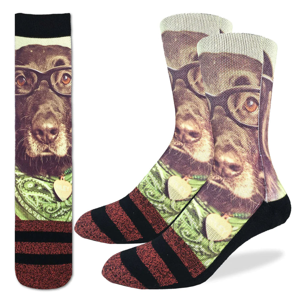 Hipster Dog Socks