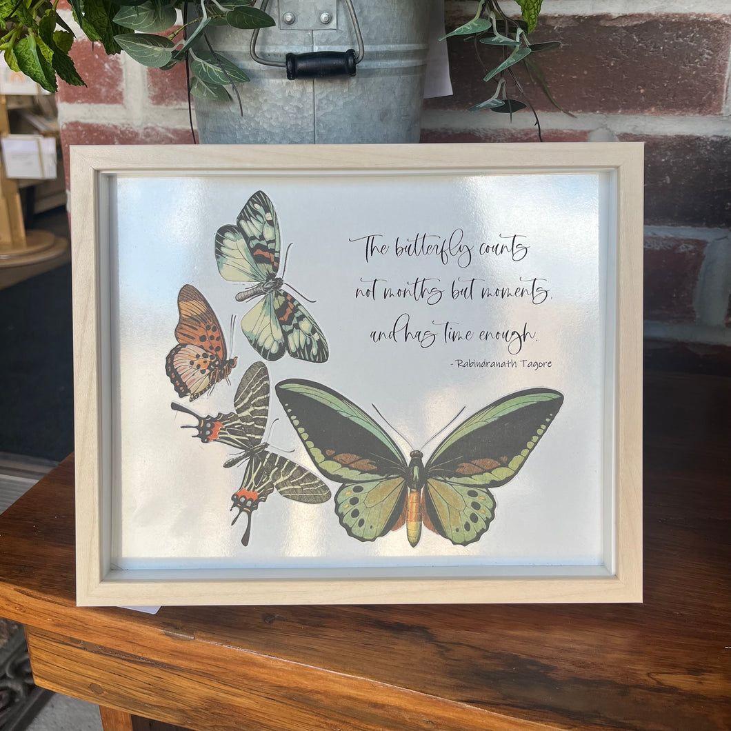 Framed Butterfly Picture