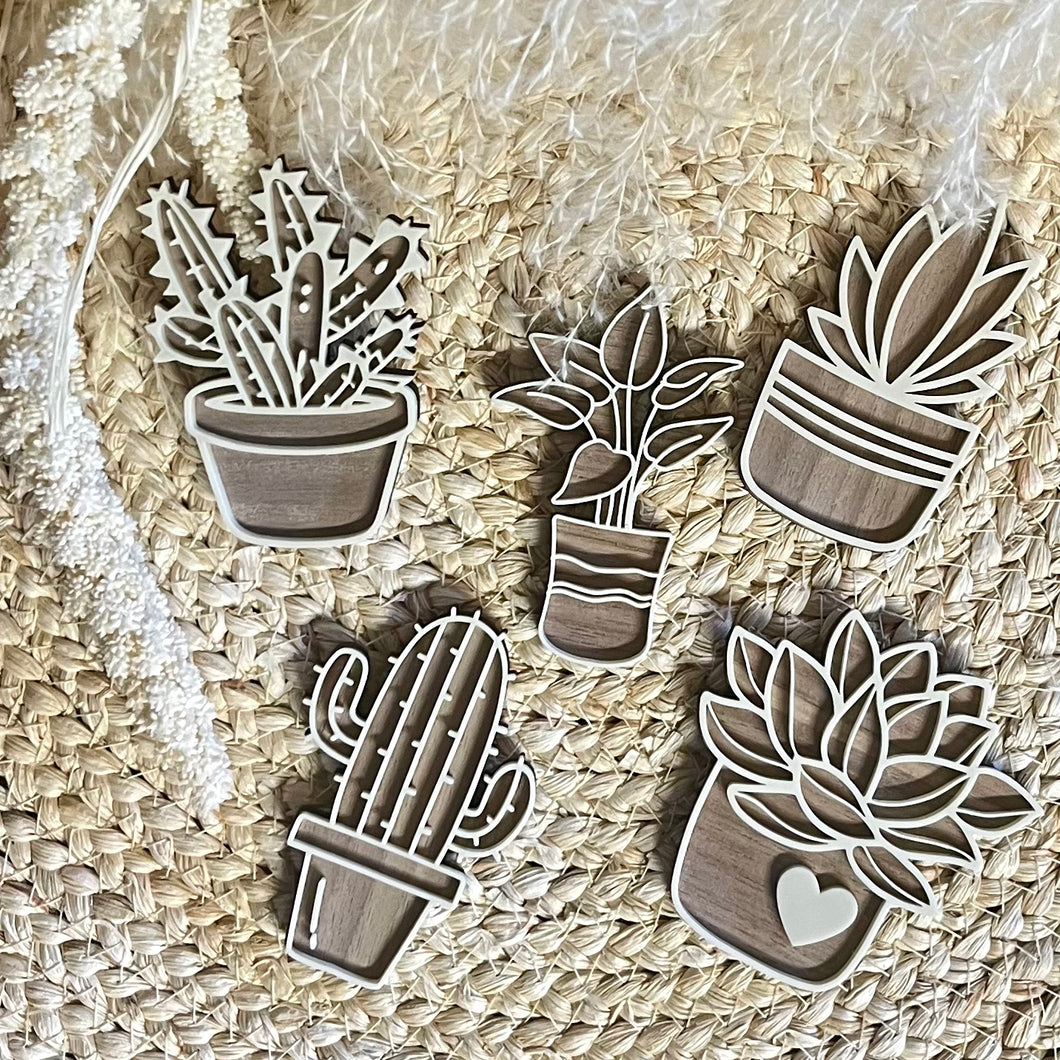 Plant Magnets
