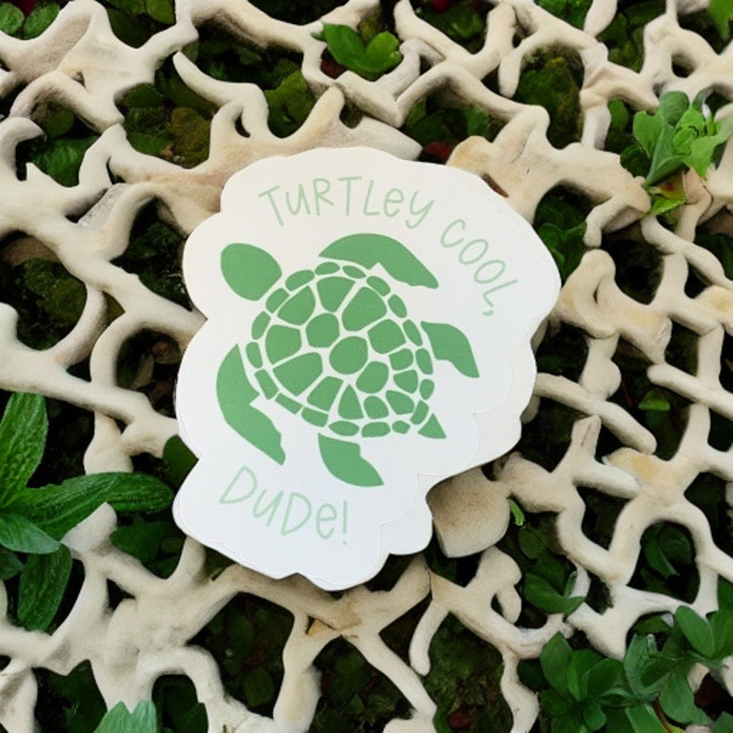 Turtley Cool - Sticker