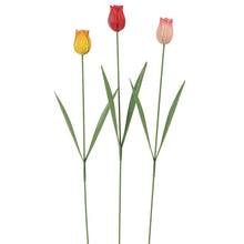 Load image into Gallery viewer, Plate Steak - Tulip Stem
