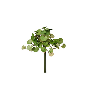 11" Real Touch Pilea Bush - Green