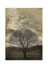 Load image into Gallery viewer, Sepia Tree Decoupage Paper - 11.7&quot; x 16.5&quot;
