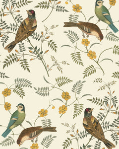 Songbirds Decoupage Paper