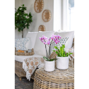 Textured Planter - 3 Sizes