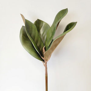 Magnolia Leaf Pick