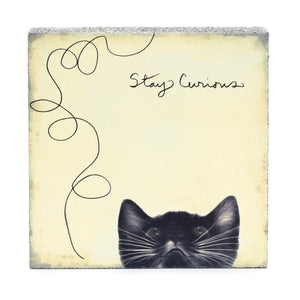 Stay Curious - Mini Art Block