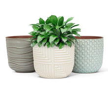 Load image into Gallery viewer, Textured Matte Planter - Small
