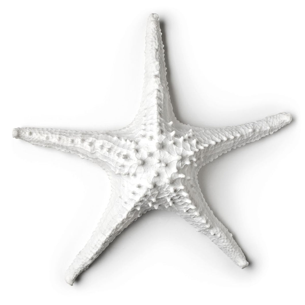 3D Starfish - Large (In Store Pick Up Only)