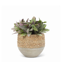 Load image into Gallery viewer, Seagrass Half Covered Planter
