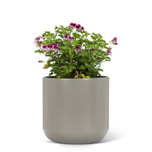 Load image into Gallery viewer, Graydon Classic Planters

