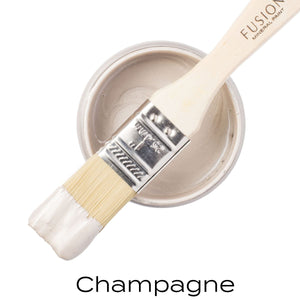 Champagne Metallic Paint