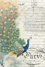 Load image into Gallery viewer, Decoupage Paper - Peacock Ephemera Left
