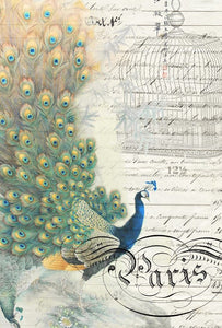 Decoupage Paper - Peacock Ephemera Left