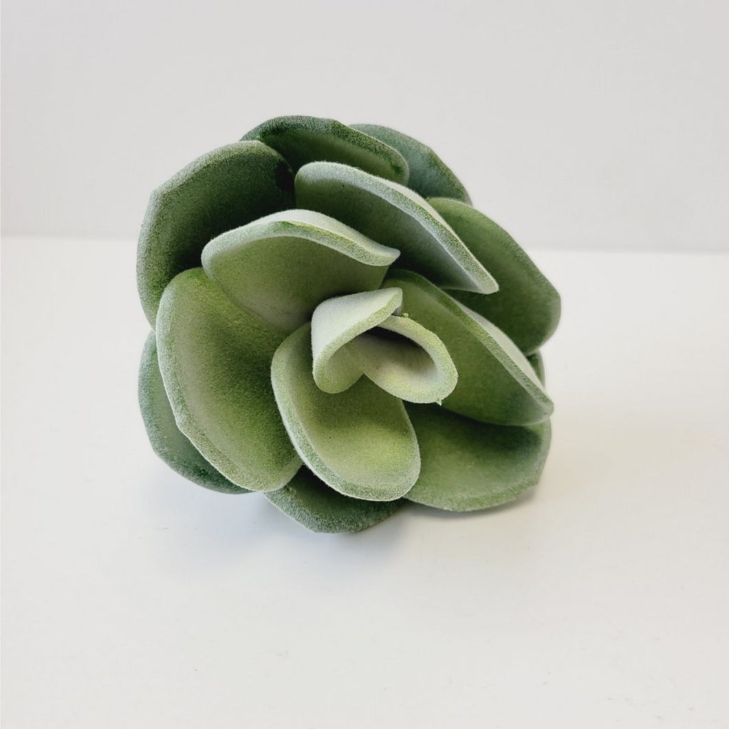 Echiveria Succulent Pick - Green