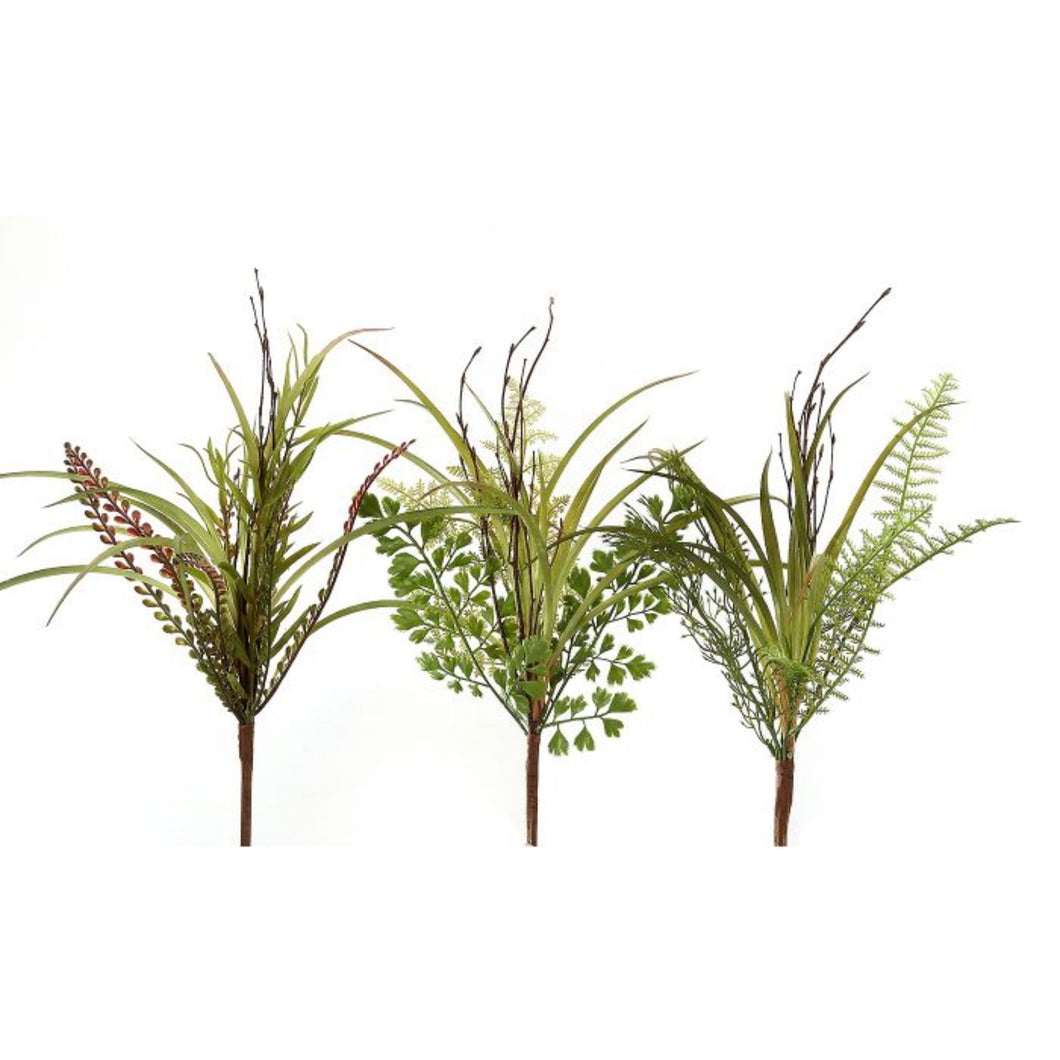 Assorted Grass/Fern Bush