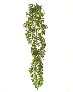 Hanging Succulent Berry Bush - Green