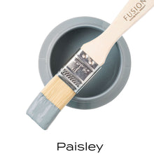Load image into Gallery viewer, Paisley Mineral Paint
