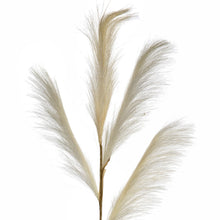 Load image into Gallery viewer, Pampas Grass Stem - Cream
