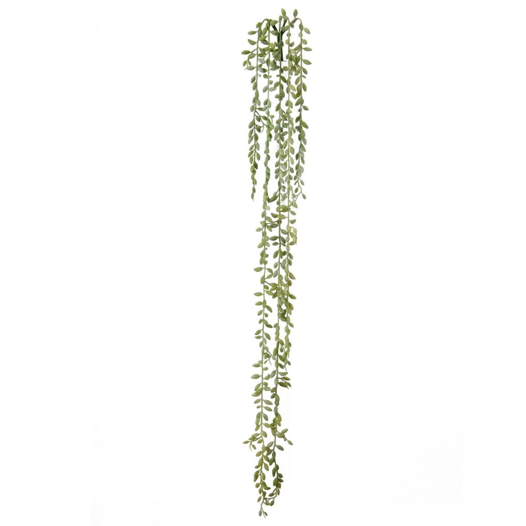 Real Touch Hanging Succulent Seed Bush - Green