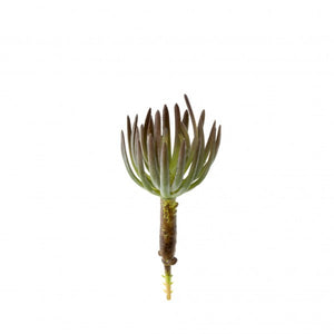 Succulent Pick - Small
