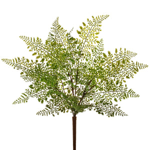 Real Touch Lace Fern Bush - Green